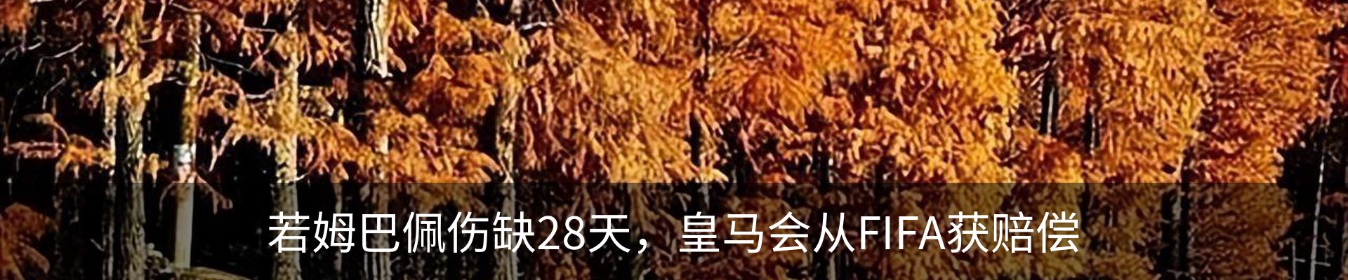 热点资讯